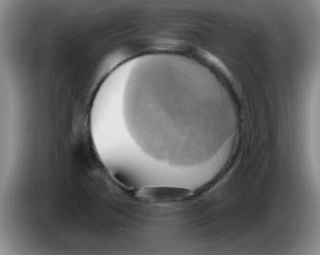 X0000084021362200703091939