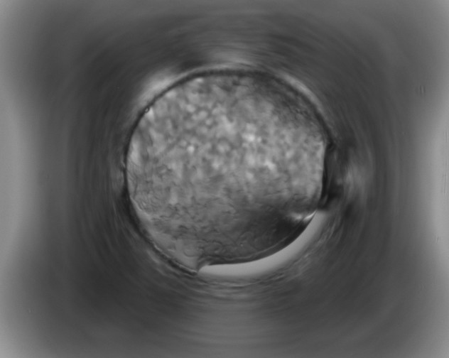 X0000084021363200703091939