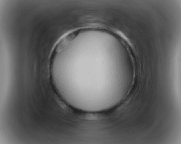 X0000084021364200703091939