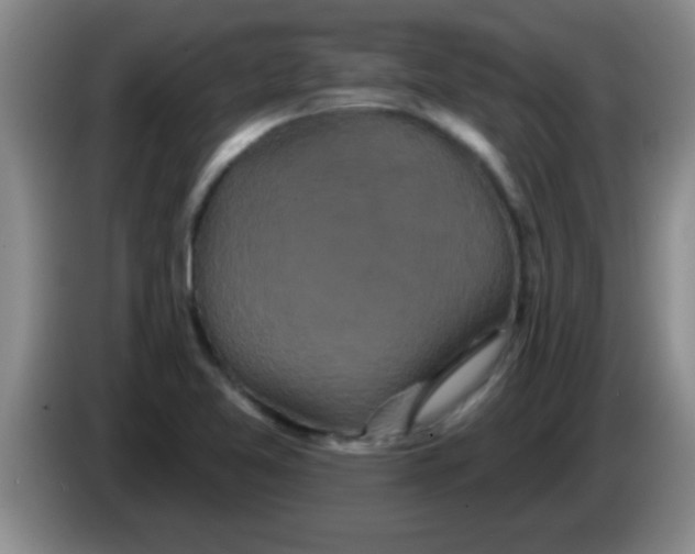 X0000084021365200703091939