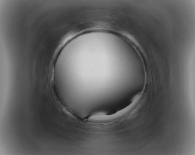 X0000084021366200703091939