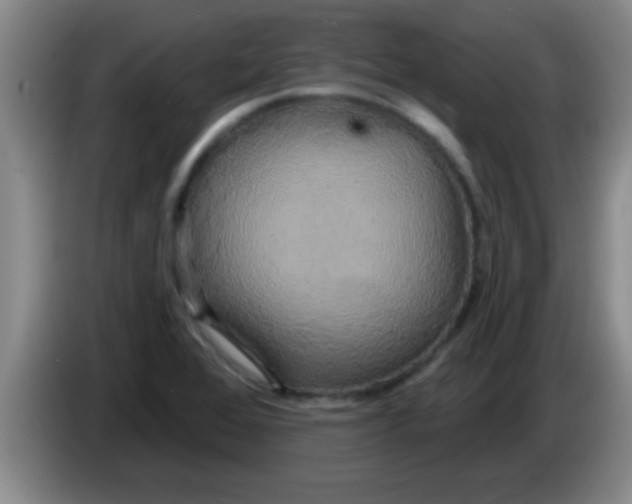 X0000084021368200703091939