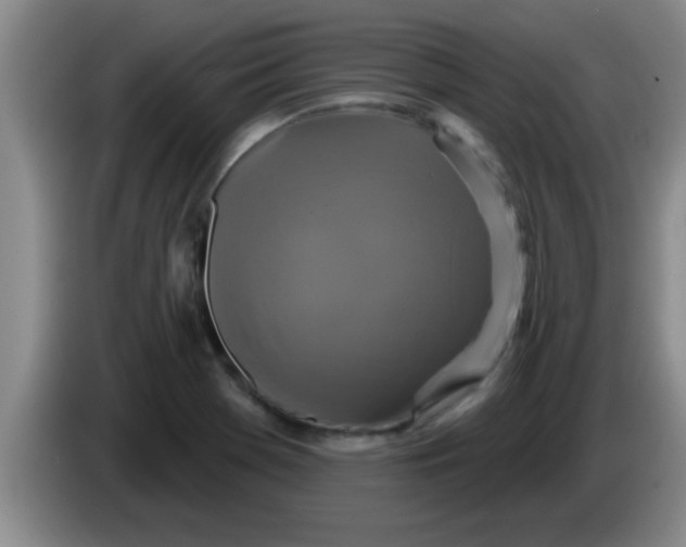 X0000084021369200703091939