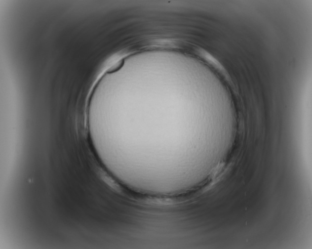 X0000084021370200703091939