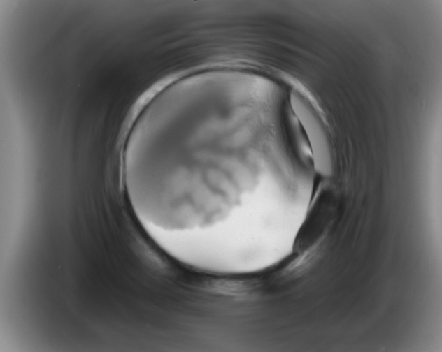 X0000084021371200703091939