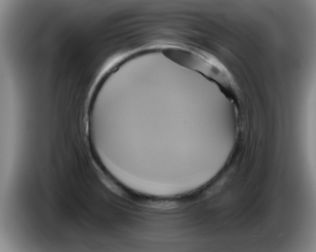 X0000084021372200703091939