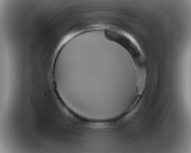 X0000084021373200703091939