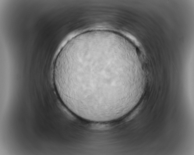 X0000084021374200703091939