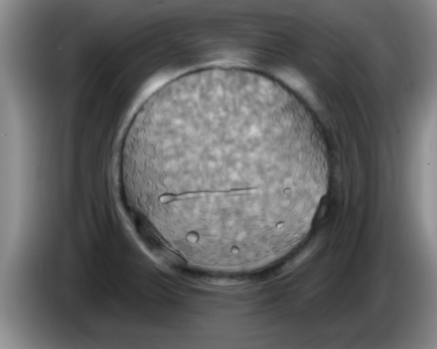 X0000084021375200703091939