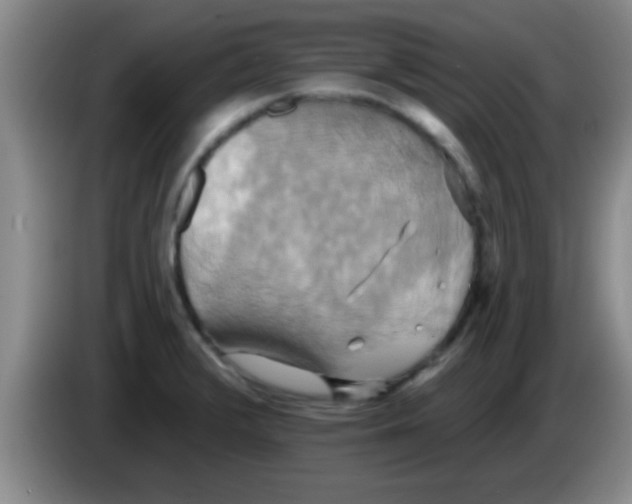 X0000084021376200703091939