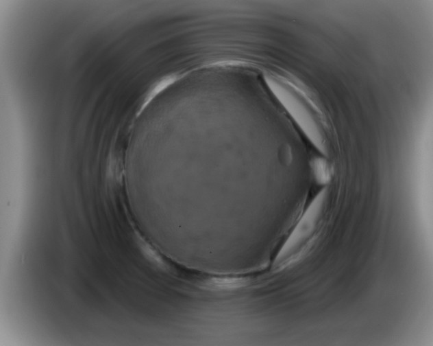 X0000084021377200703091939