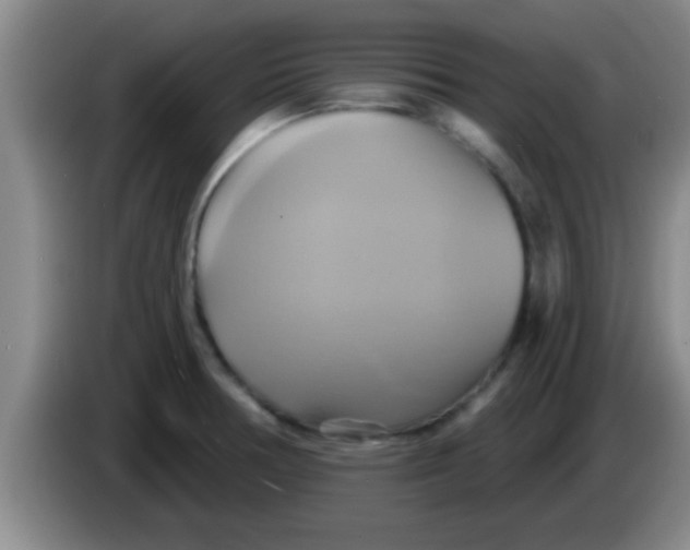 X0000084021378200703091939