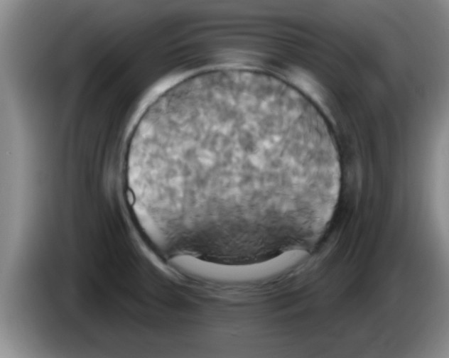 X0000084021379200703091939