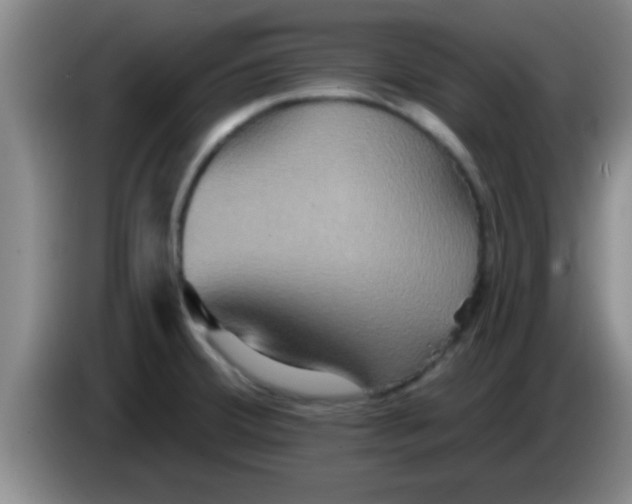 X0000084021380200703091939