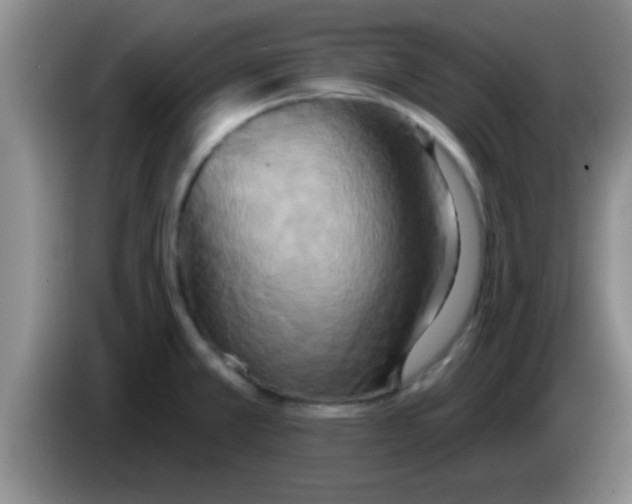 X0000084021381200703091939