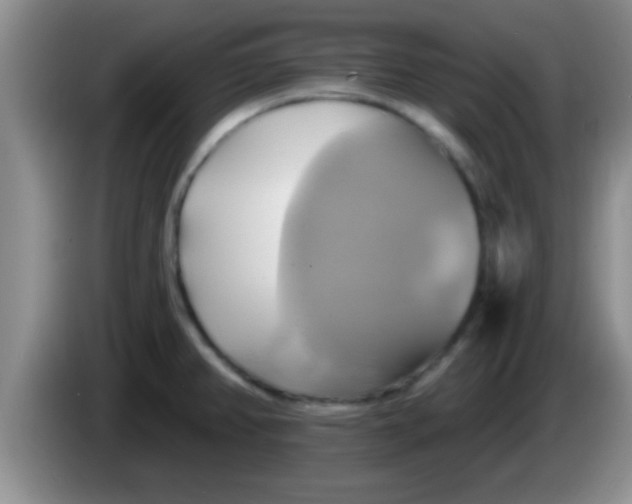 X0000084021382200703091939