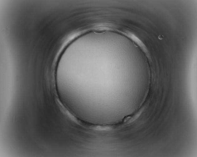 X0000084021384200703091939