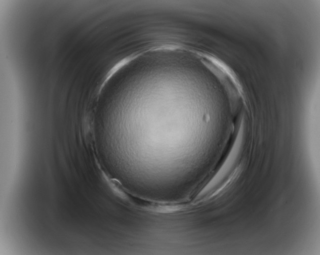 X0000084021385200703091939