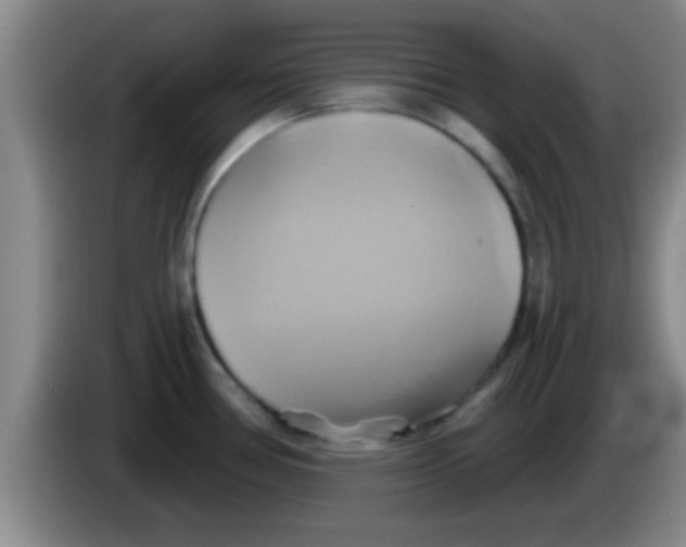 X0000084021386200703091939