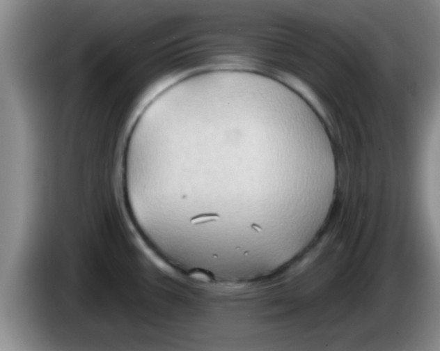 X0000084021387200703091939