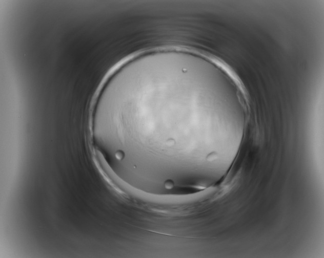 X0000084021388200703091939