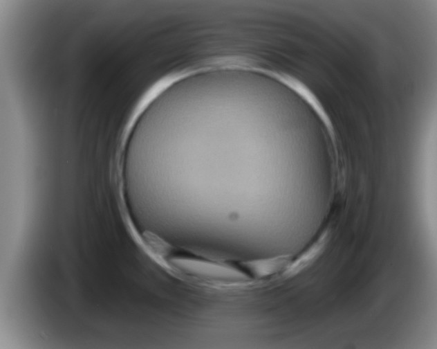 X0000084021389200703091939