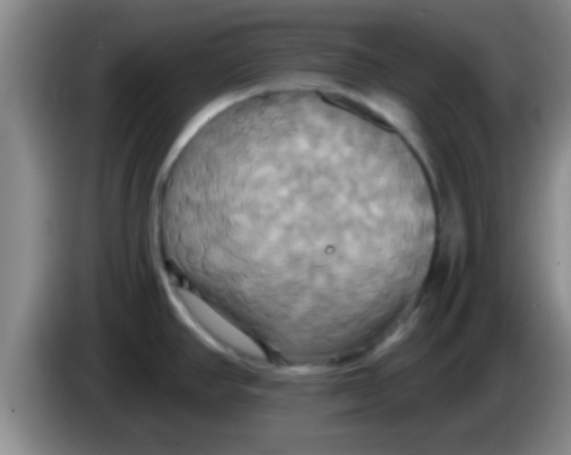 X0000084021390200703091939