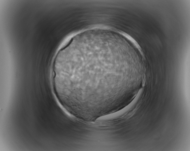 X0000084021391200703091939