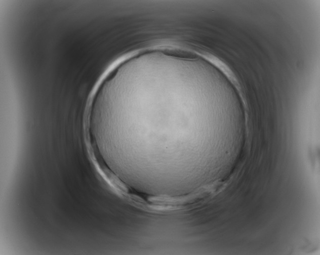 X0000084021392200703091939