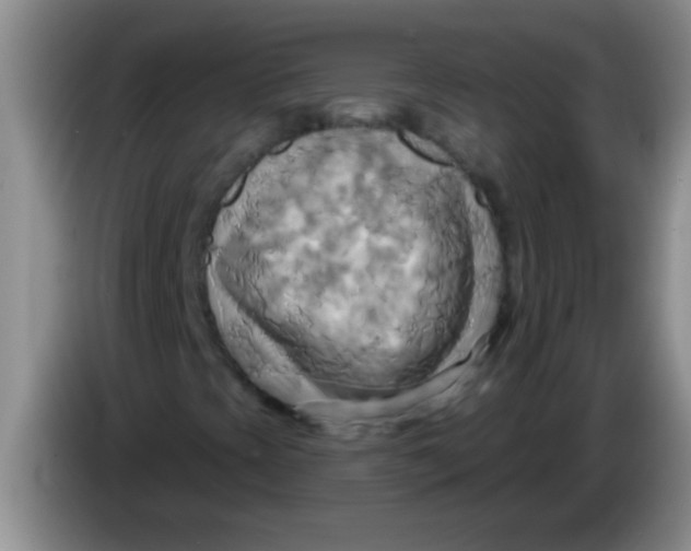 X0000084021393200703091938