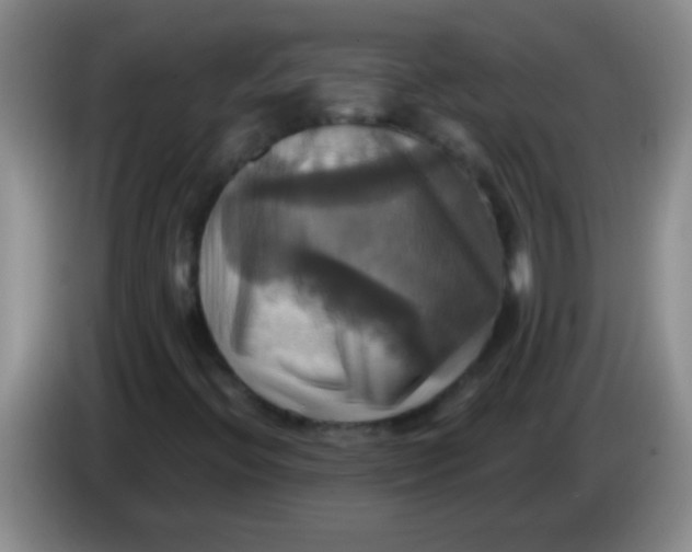 X0000084021396200703091938