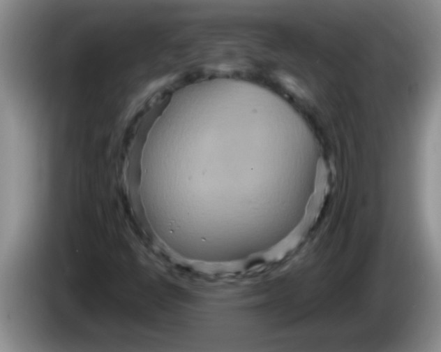 X0000084021398200703091938