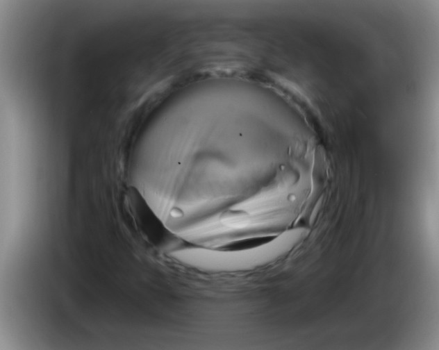 X0000084021399200703091938