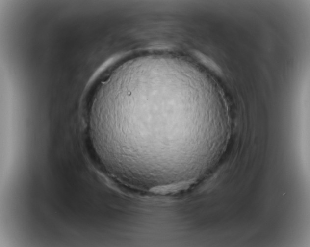 X0000084021400200703091938