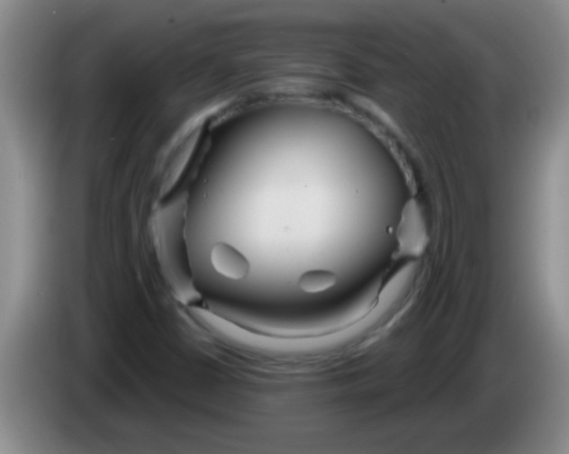 X0000084021402200703091938