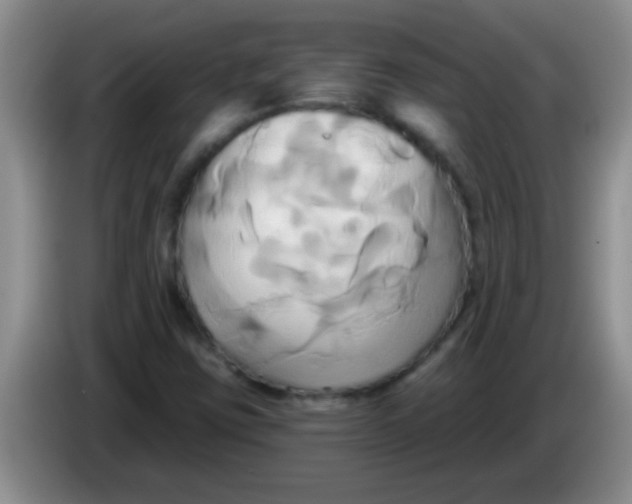 X0000084021403200703091938