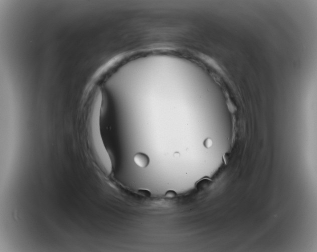 X0000084021406200703091938