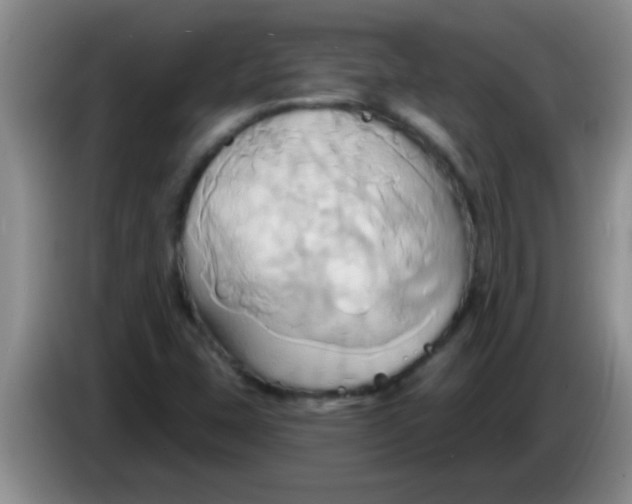 X0000084021407200703091938