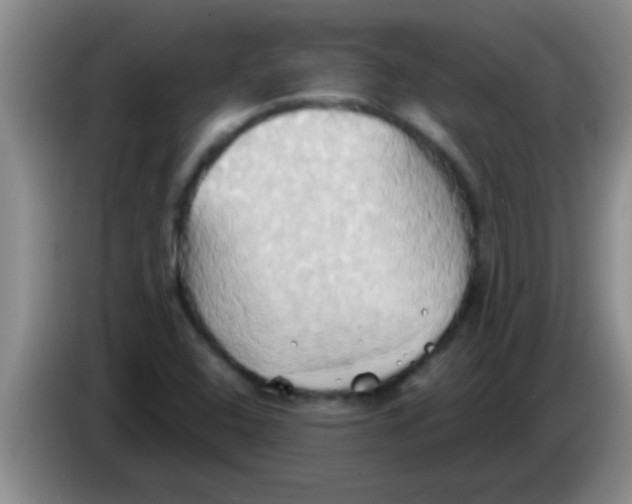 X0000084021408200703091938