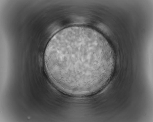 X0000084021409200703091938