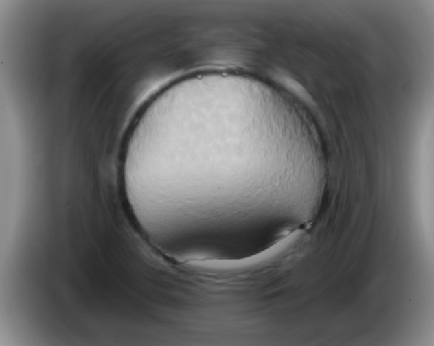 X0000084021412200703091938