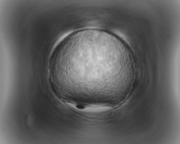 X0000084021415200703091938