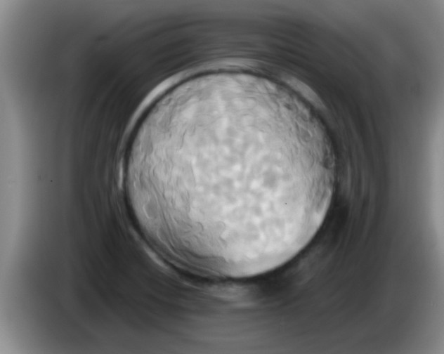 X0000084021420200703091938