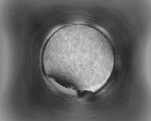 X0000084021423200703091938