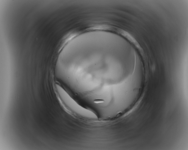 X0000084021425200703091938