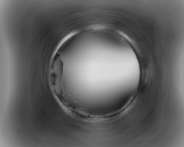 X0000084021426200703091938