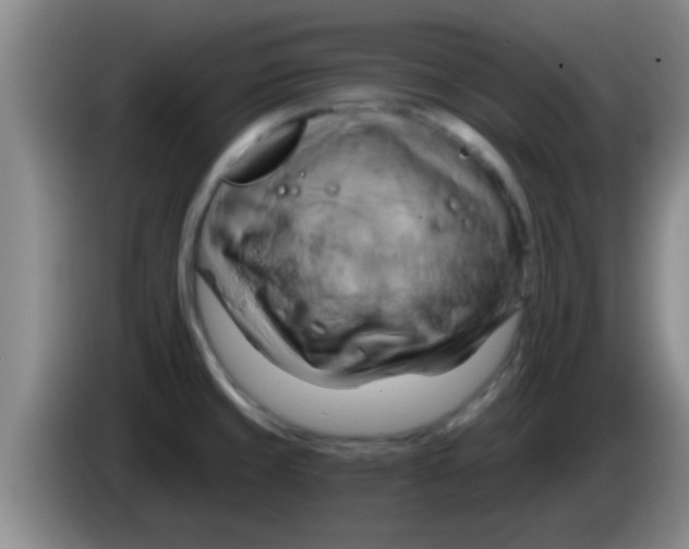 X0000084021429200703091938