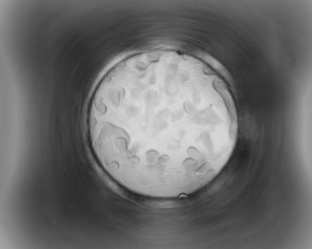 X0000084021431200703091938