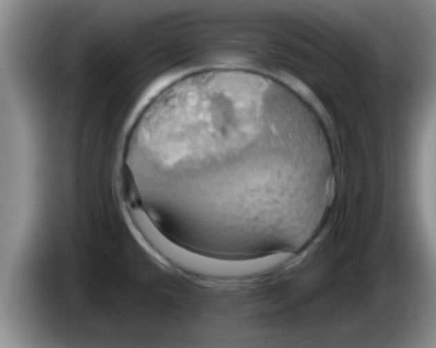 X0000084021432200703091938