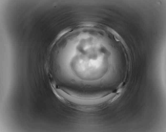 X0000084021433200703091938